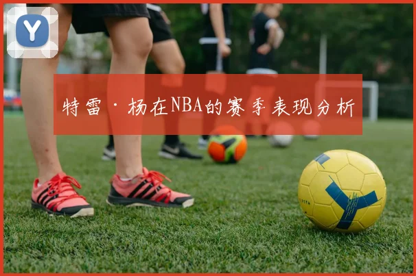 特雷·杨在NBA的赛季表现分析