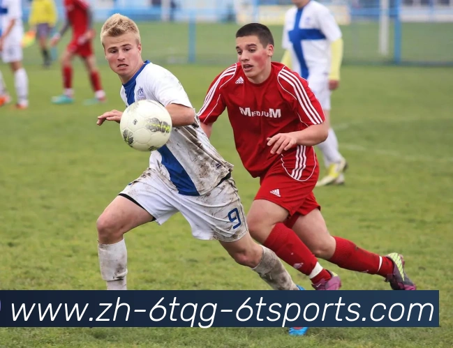 6T体育平台生态图