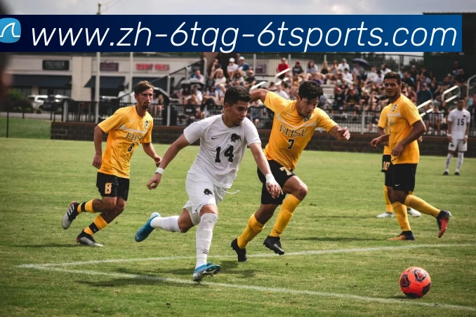 6T体育APP 封面图